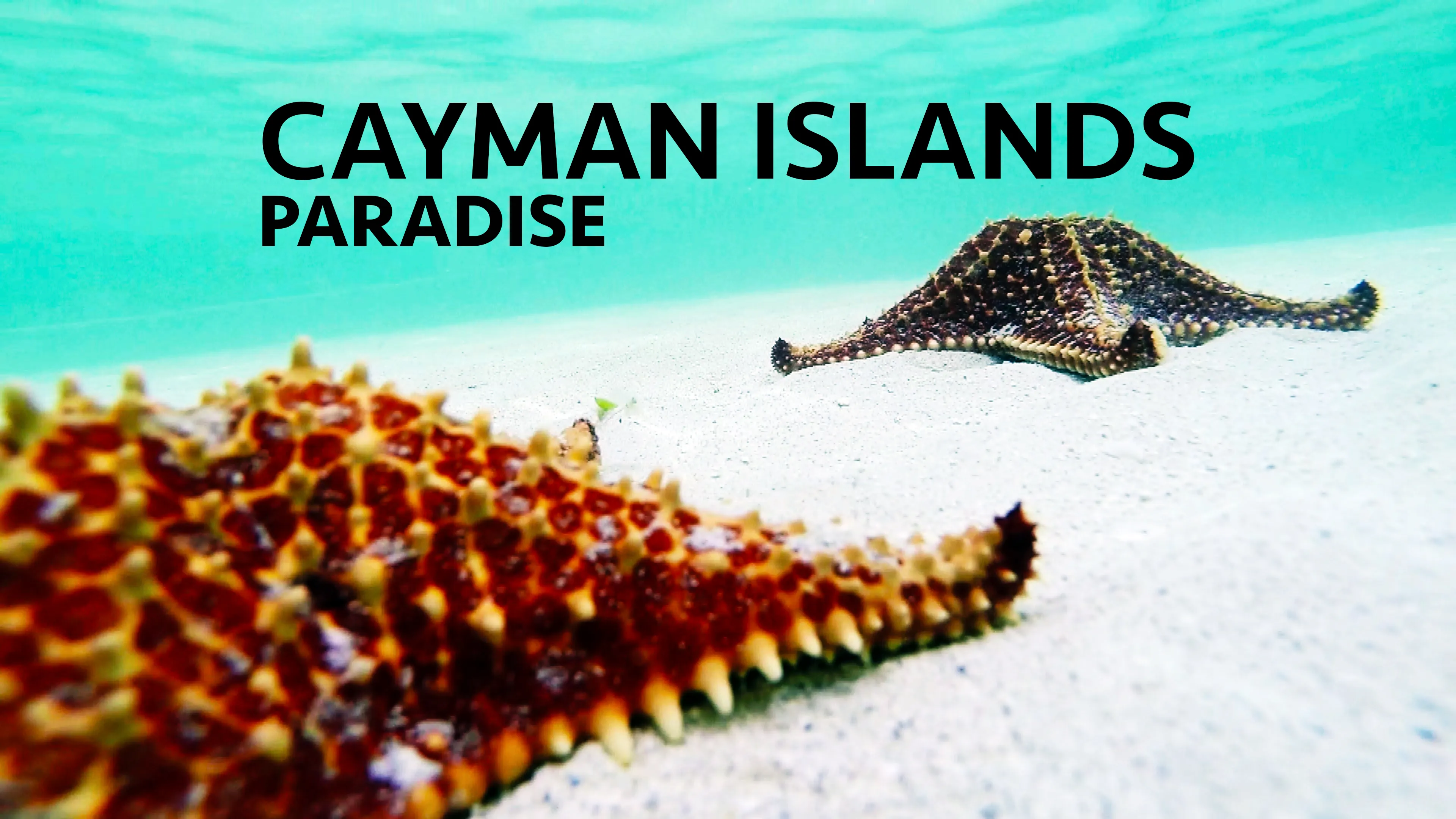 Cayman Islands: Paradise poster